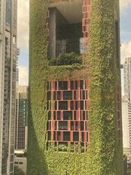 International Plaza (D2), Office #452203491